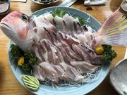 takaさんの有限会社はるひら丸の投稿写真2