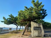おったんさんの県立高砂海浜公園の投稿写真1