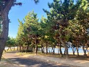 おったんさんの県立高砂海浜公園の投稿写真2