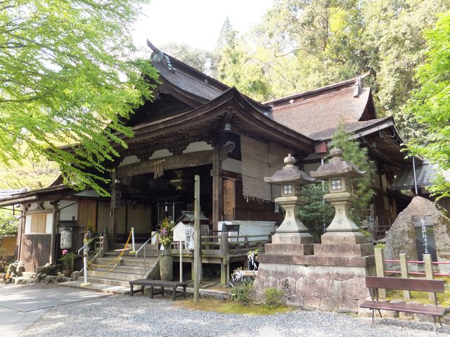 こぼらさんの岩間寺(岩間山正法寺)の投稿写真1