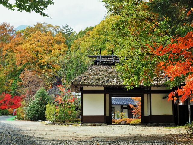 水と文化の森公園 ウェディング音の葉_菅の台水と文化の森公園