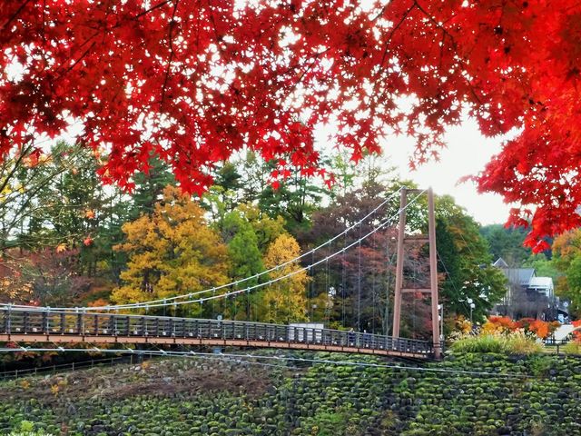 水と文化の森公園 こまくさ橋 _菅の台水と文化の森公園