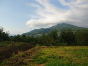 メタボ大王さんの夜間瀬本郷東町古墳群の投稿写真1