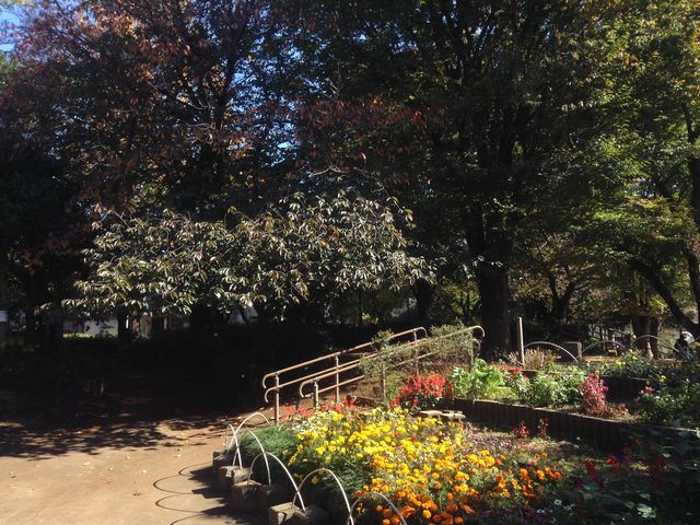 ひーちゃんさんの長崎公園の投稿写真2