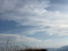 reさんの大観峰への投稿写真3