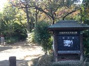 ひーちゃんさんの小鳥がさえずる公園の投稿写真1