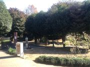 ひーちゃんさんの長崎公園の投稿写真1