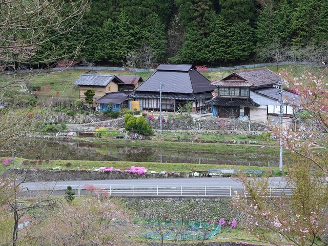 遠景の民家_与一野のしだれ桜