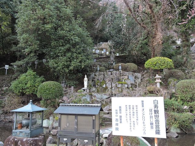 写真_吉祥院