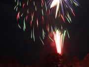 雪花采さんのレンゲ沼・休暇村探勝路の投稿写真2