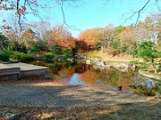 shinさんの都立猿江恩賜公園の投稿写真1