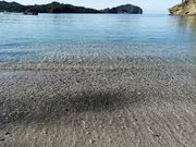 教授さんの境浦の投稿写真4