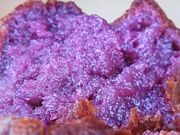 まちゆーさんの南の駅 やえせの投稿写真1