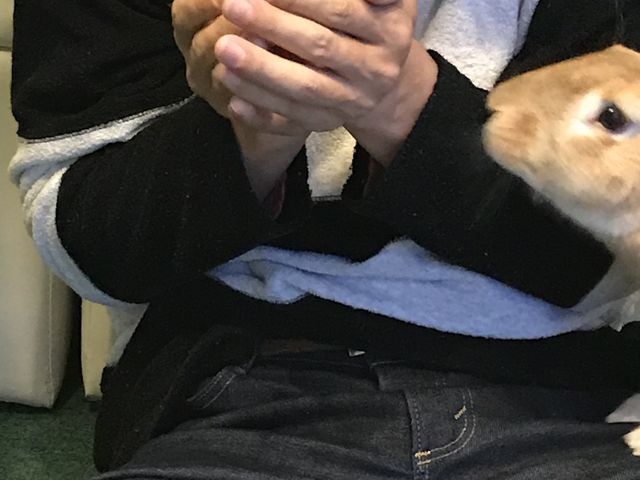 46歳児とハリネズミ+うさぎ_しゃべコミュ 山形店