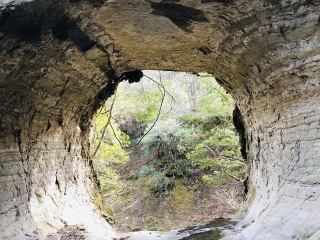 滝の下からは、現地で是非!!_奥米・木村農園