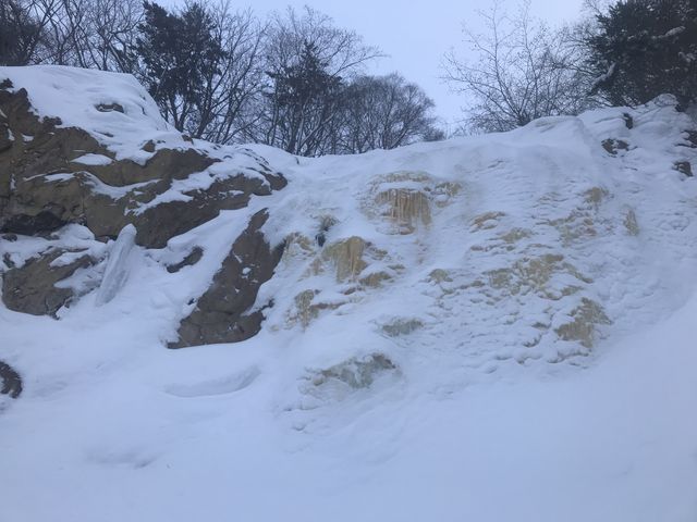 うっすら雪を被った様子_はれがさやアクティビティーズ(旧:裏磐梯もくもく自然塾)