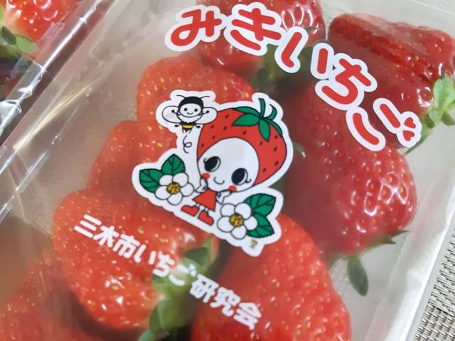 1人分_たにい農園