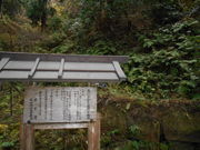 トシローさんの室生山暖地性シダ群落の投稿写真1