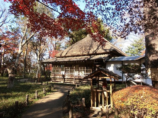 武蔵野の面影が残っています。_蘆花恒春園