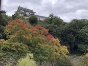 おりょうまこさんの和歌山城公園の投稿写真5