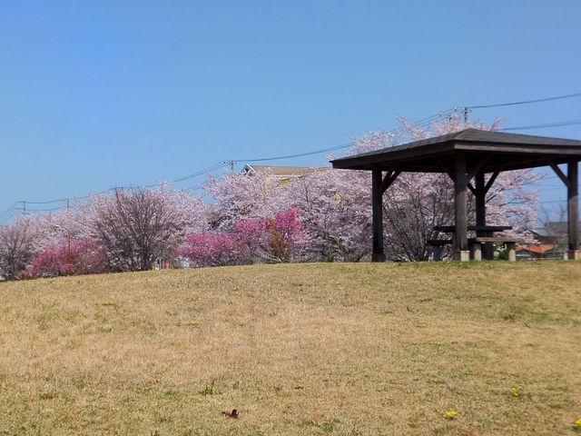 芝生広場の丘陵部分には東屋があり、服部川や足跡化石を見下ろせます。_大山田せせらぎ運動公園