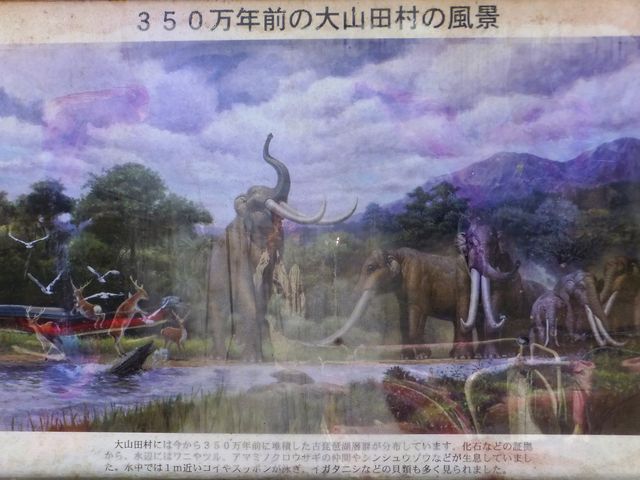 足跡化石の解説と、古琵琶湖に生息していた動物たちの予想図。_大山田せせらぎ運動公園