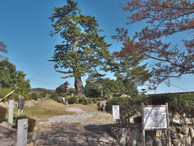 大村寺(錦松)_大村寺