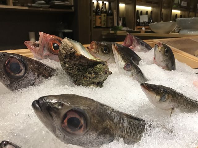毎日氷が凄いらしい…_旬魚とおばんざい 彩り