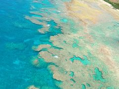 れいさんのManaia Okinawaへの投稿写真1