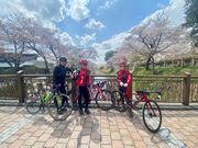 ロータスさんの行屋川の桜の投稿写真1