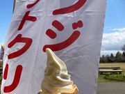 ミナさんの道の駅 良寛の里わしまの投稿写真1