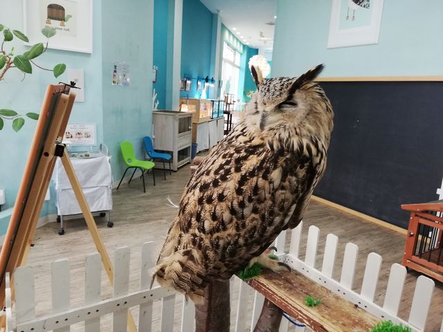腕に乗せた子、どんだけ回るのって驚くくらい首が回ります。_イーアスつくば