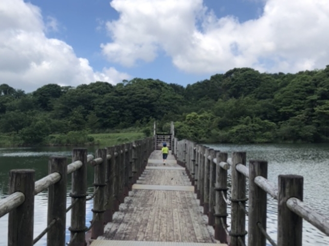 ちーさんの白岳高原の投稿写真1