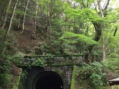 じゅんさんの天城山隧道(通称:旧天城トンネル)への投稿写真1
