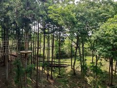 あえらさんのフォレストアドベンチャー・秩父への投稿写真1