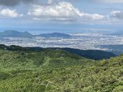 りあんさんの伊豆スカイラインの投稿写真1