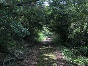 ちーさんの白岳高原の投稿写真1