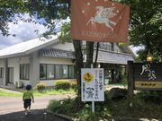 ちーさんの白岳高原の投稿写真1