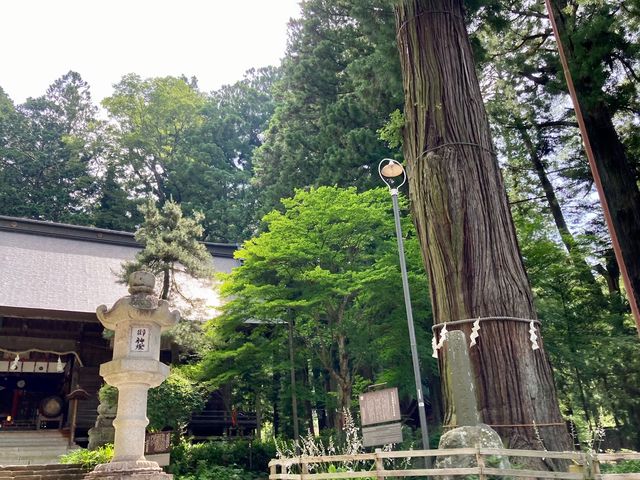 素晴らしいの一言です!_河口浅間神社