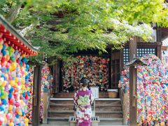 ことさんの国産レンタル着物 和香菜への投稿写真2