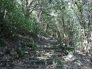 章男君さんの仙岩寺の投稿写真2
