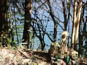 章男君さんの仙岩寺の投稿写真4