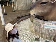 みゆたそさんの高原の湯の投稿写真1