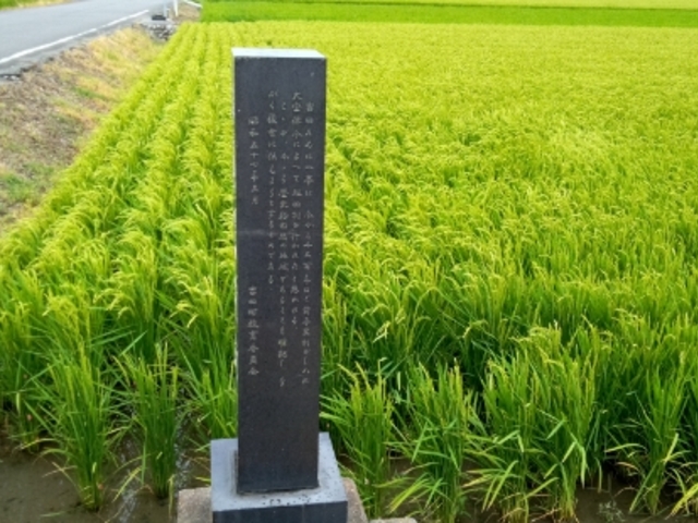 たっちゃんさんの条里制遺跡の投稿写真2