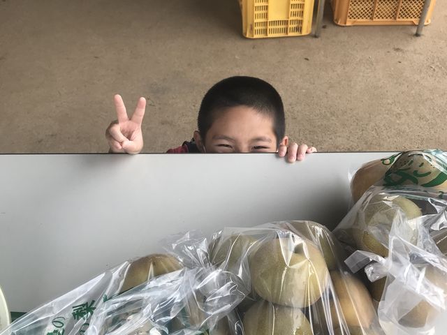沢山梨が採れて、褒めてもらい嬉しそうな息子と、美味しい梨♪_小川梨園