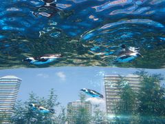サンシャイン水族館の写真1