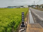 たっちゃんさんの条里制遺跡の投稿写真1