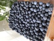 かよさんのフルーツランド谷井農園の投稿写真2
