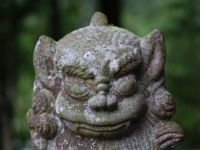 拝殿前の狛犬は個性的でした。_岩城神社