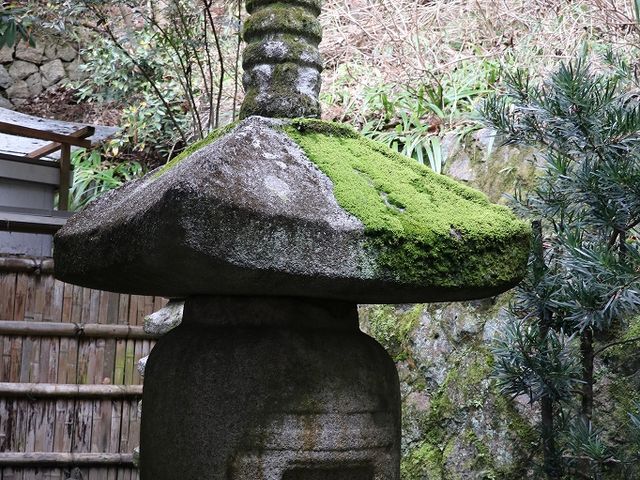 国の重要文化財に指定されている多宝塔。_安養寺